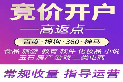 成功运用SEM服务实现品牌快速成长的案例